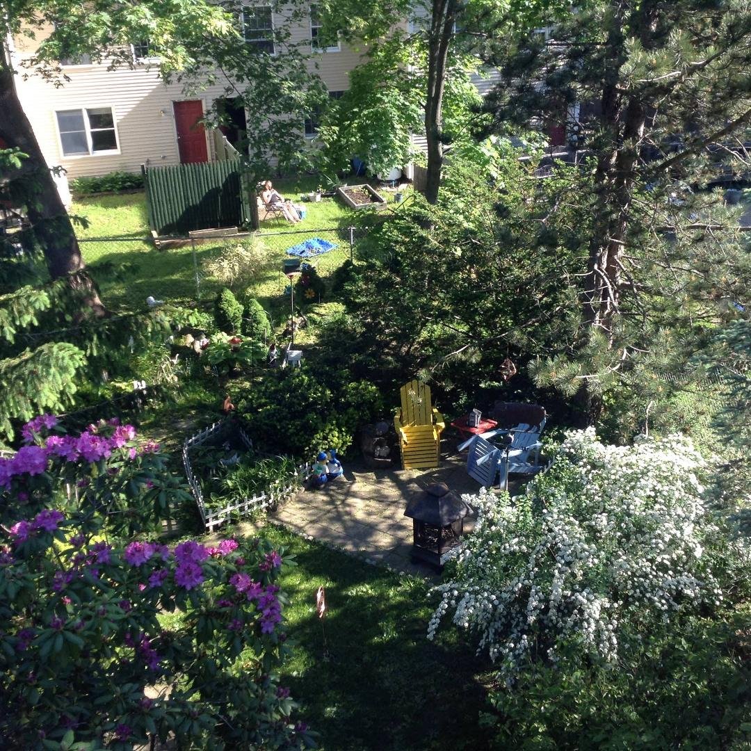 Arland Stackpole's album, iOS Photos
