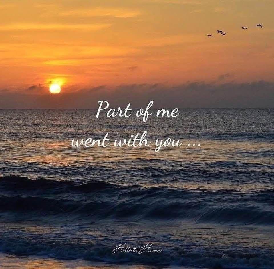 Sheryl Duff's album, Timeline photos
