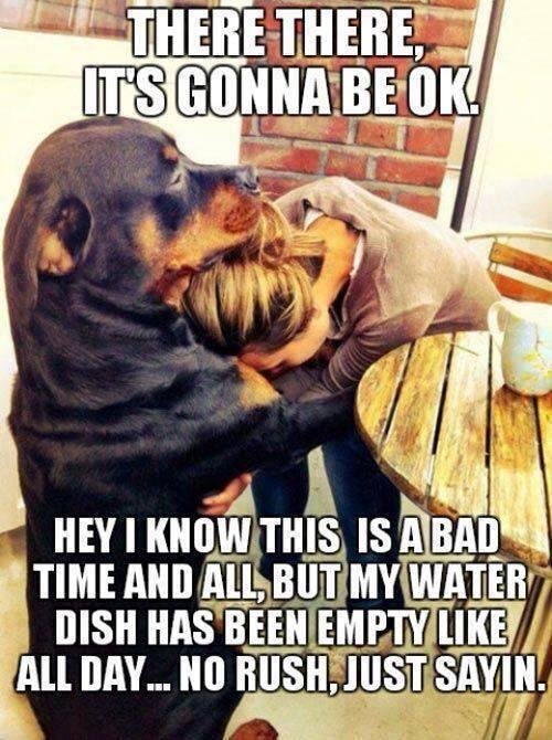 Pam Canfield's album, Timeline Photos