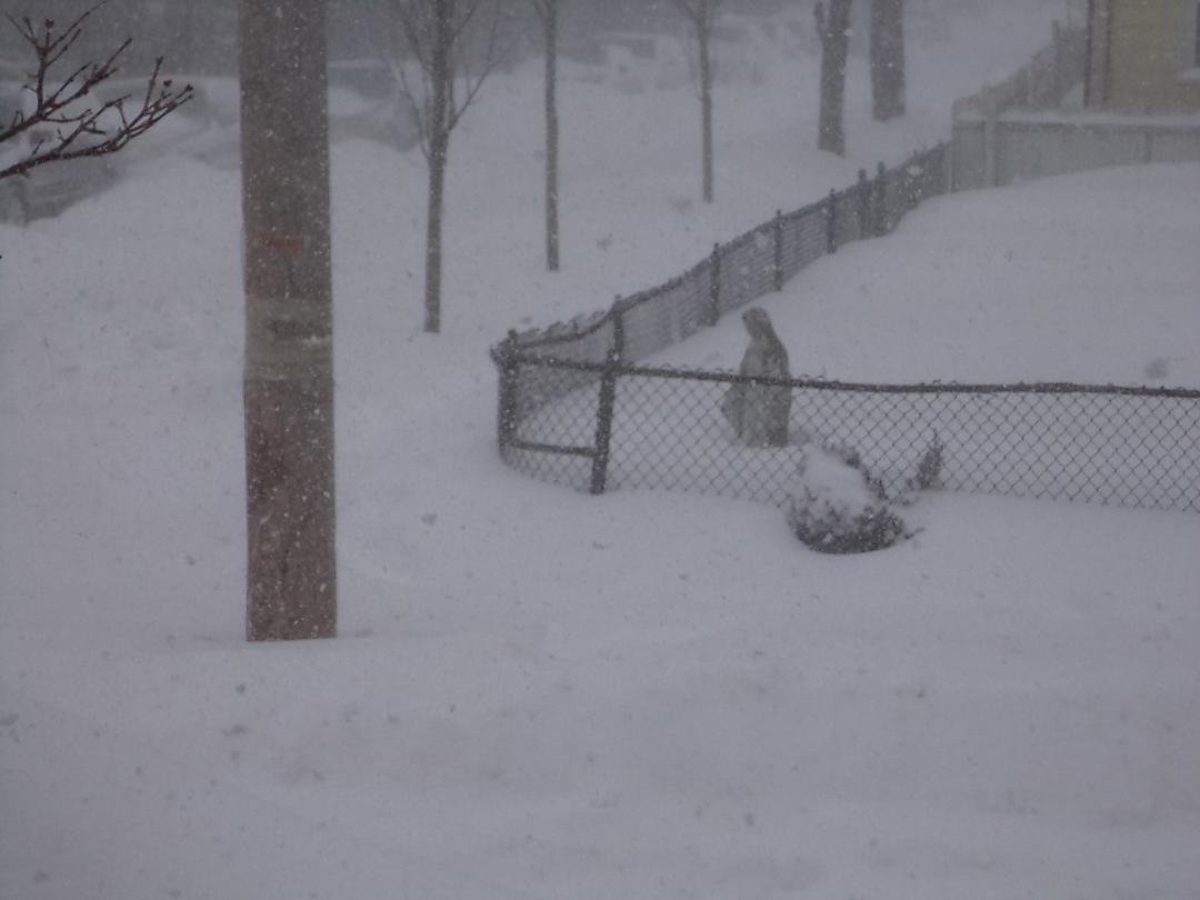 Snow Day.