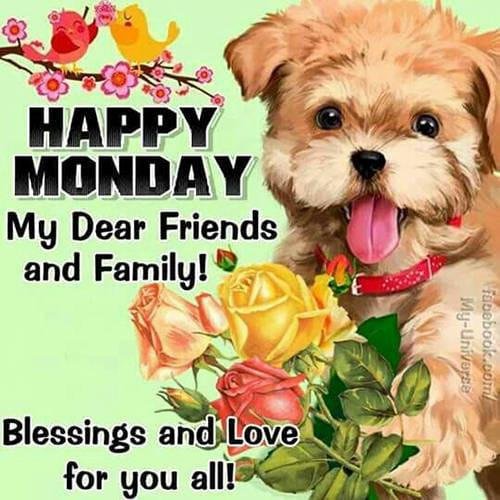 Tracy Leopold's album, Timeline Photos