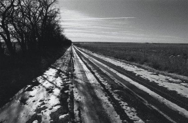 Michael Pointer's album, black and white