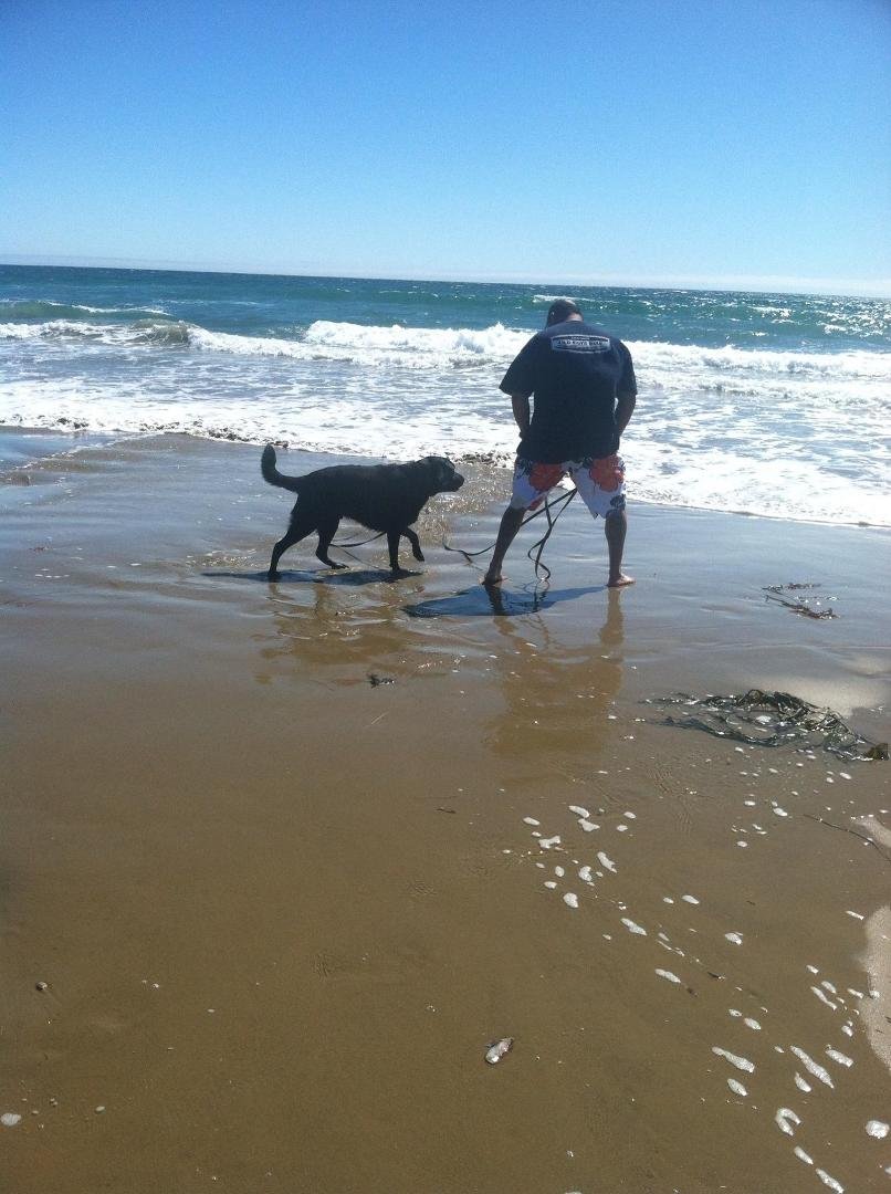 Jeffrey Perez's album, Mobile Uploads