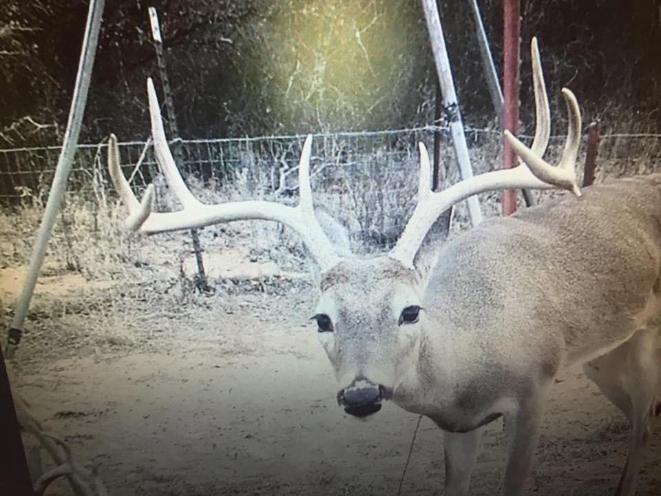 This guy was on our camera in March. So he made thru last season. Hope he’s still in the area..... can’t wait to see him this year.