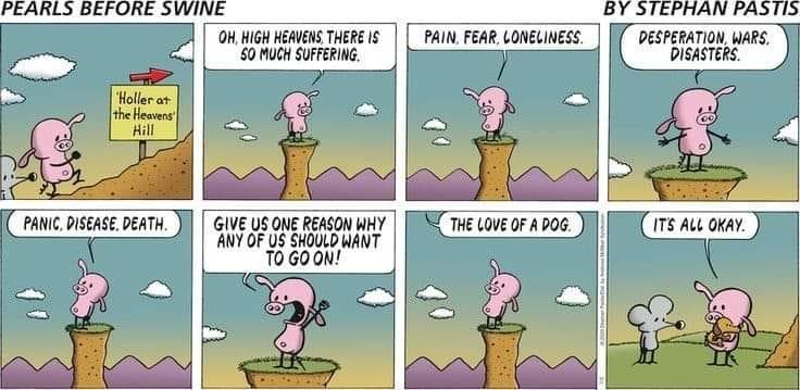 Ya gotta love Pig!  💕