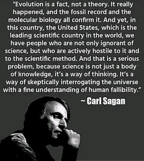 Understanding these concepts is critically important to the health of any society;  Sagan expresses them with exquisite clarity.