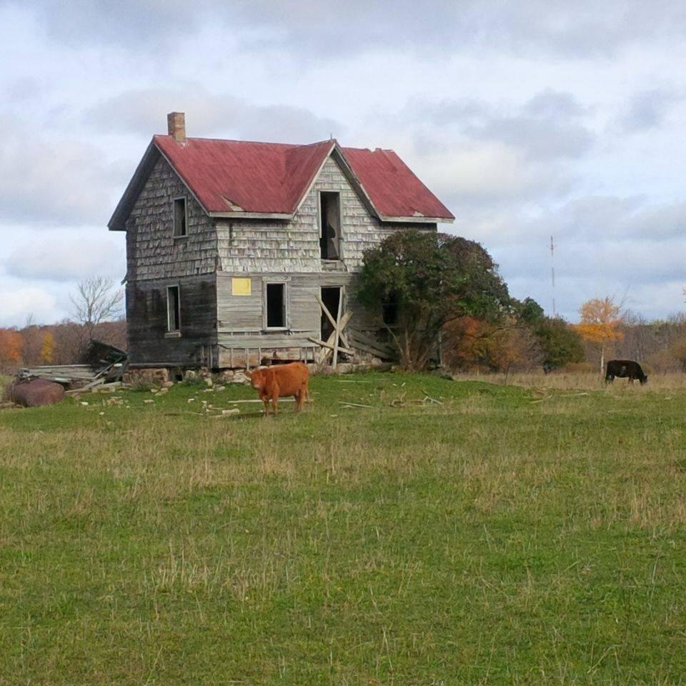 Owen Whitehead's album, Mobile Uploads