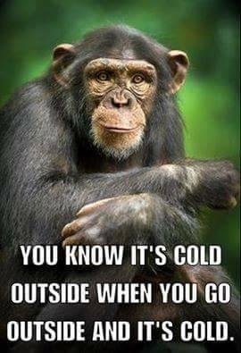Loran Wadman's album, Timeline Photos