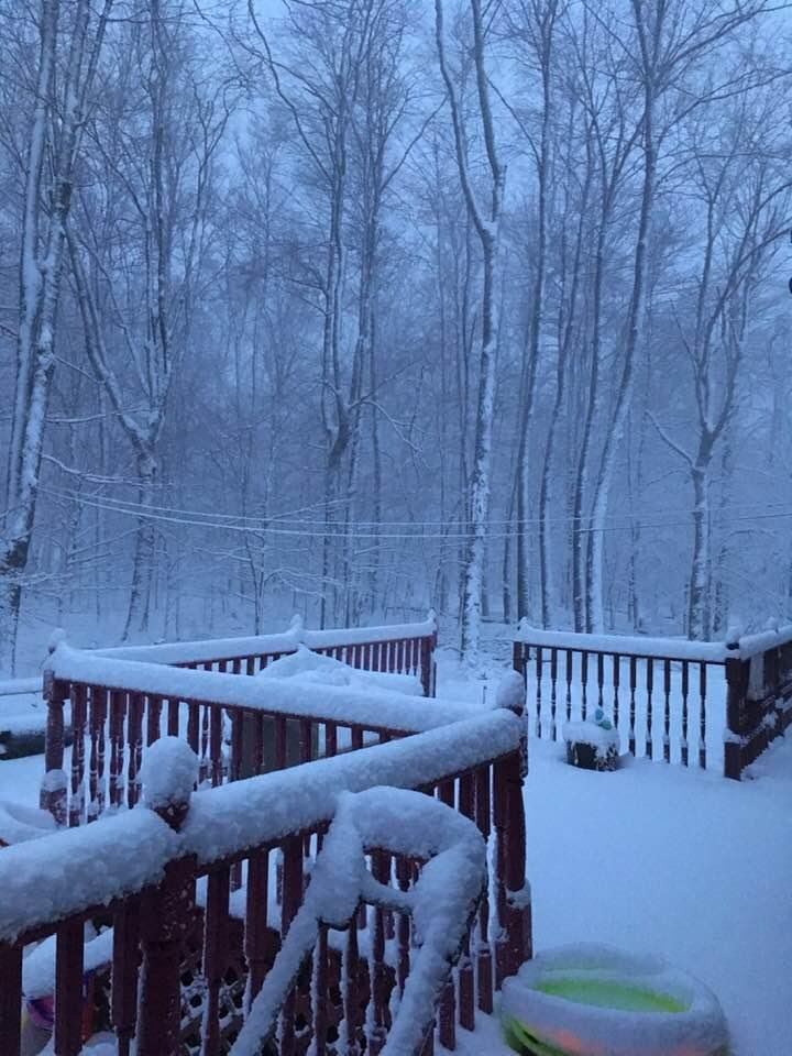 WELCOME SPRING 😂🤣