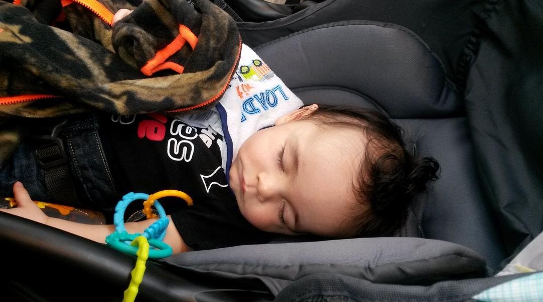 Getting his picture taken was a lot of work. He's out!!! :-)