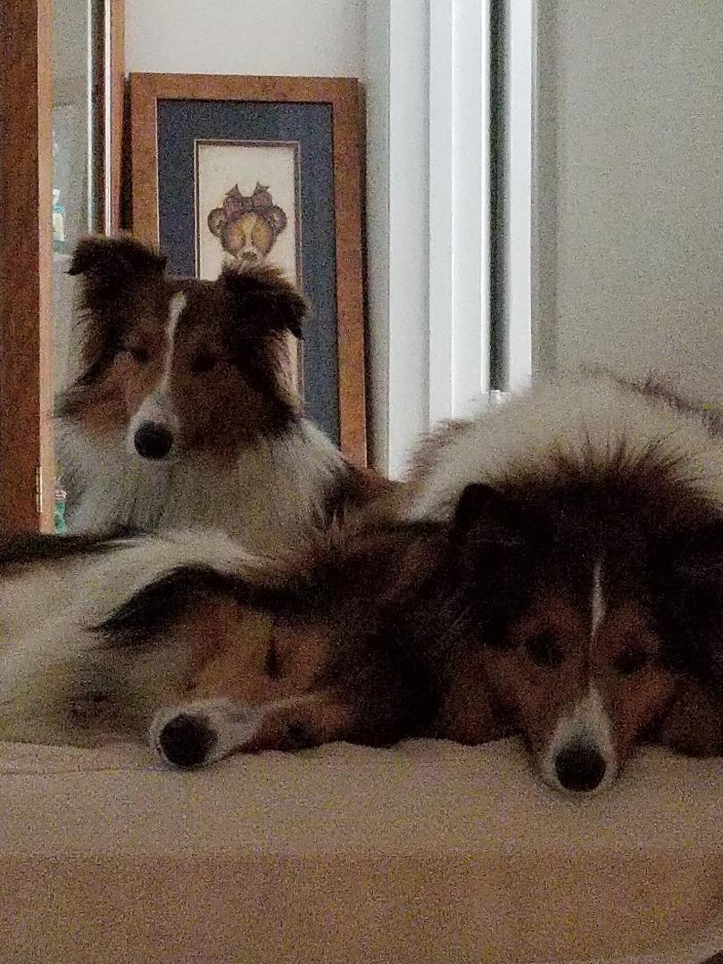 Look 3 angels! Yeah right, it's only a matter of time before they get in the something!