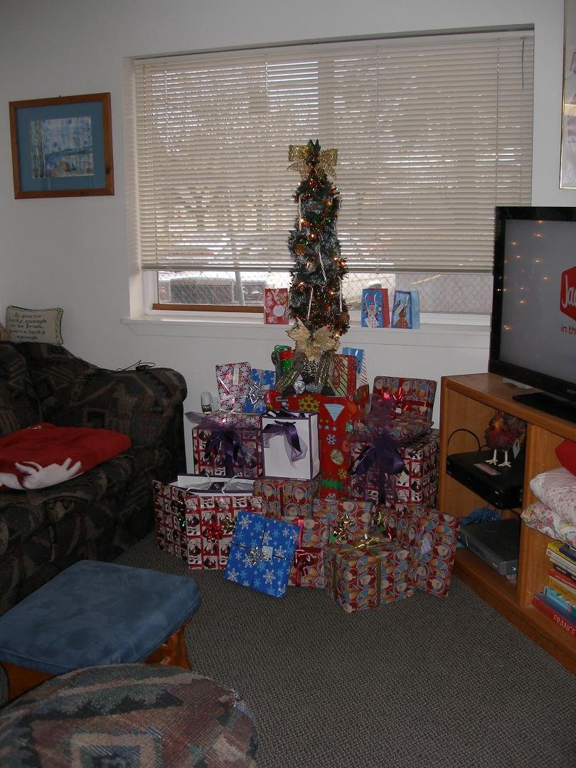 My little tree, in my little place..