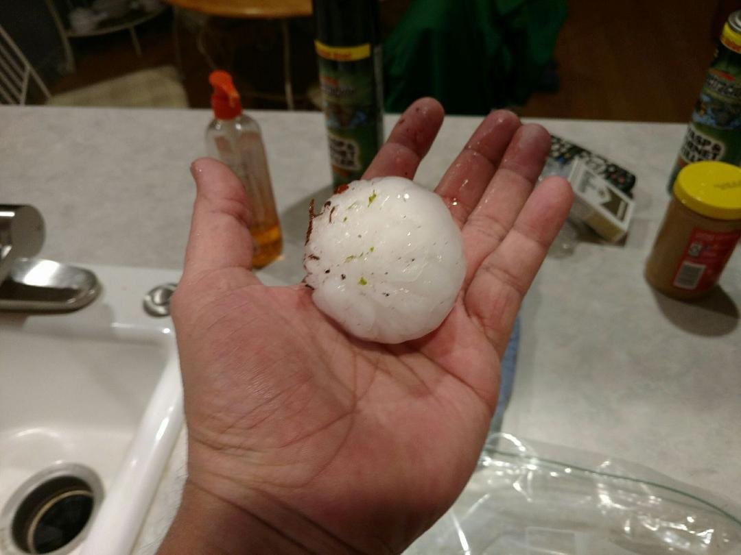 Paul has a yard full.of these.  He lives in Hickory Creek, Denton County.  He is reporting severe damage to neighbor's autos.