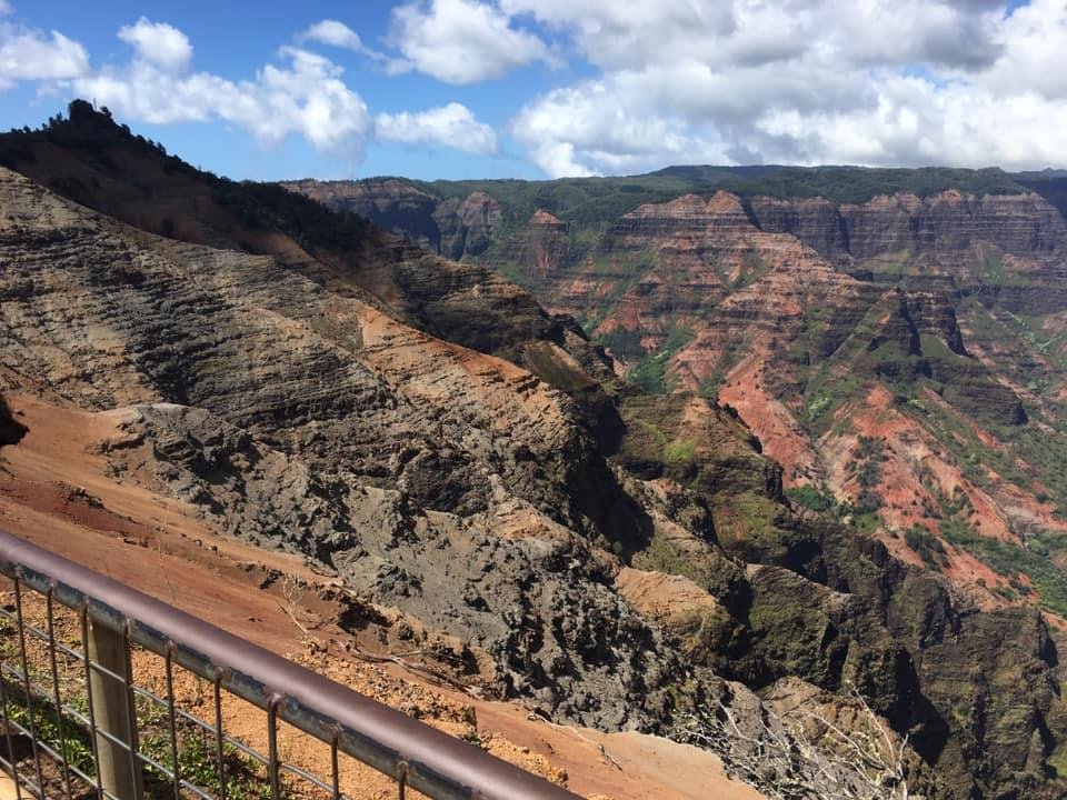 Drove to Waimea Canyon and back to Hanalei today.