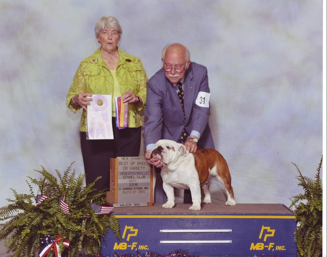 Received Digby's new Champion photo. Blue Ridge Cluster Fletcher,NC.
