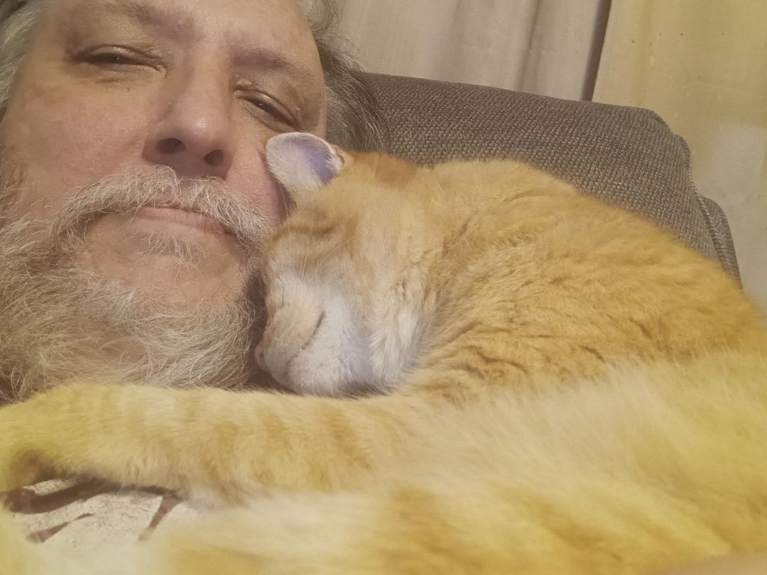 When your cat thinks he's 2 lb and it's more like 20 lb.