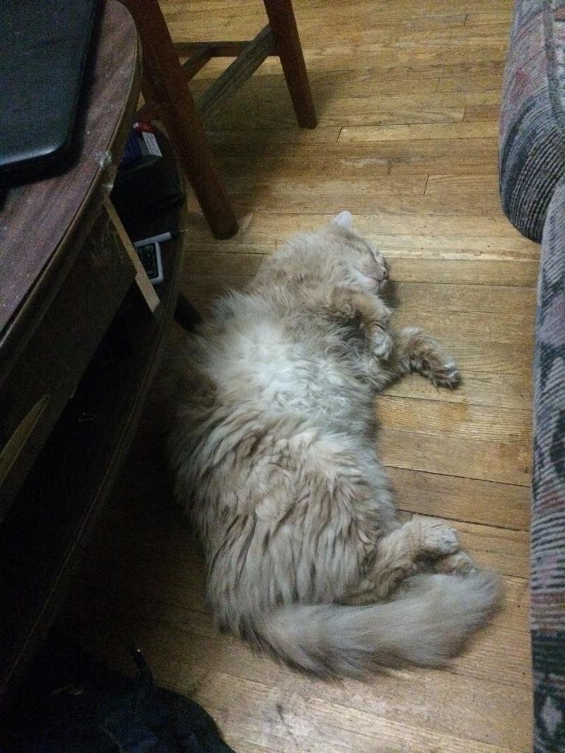 My happy boy
