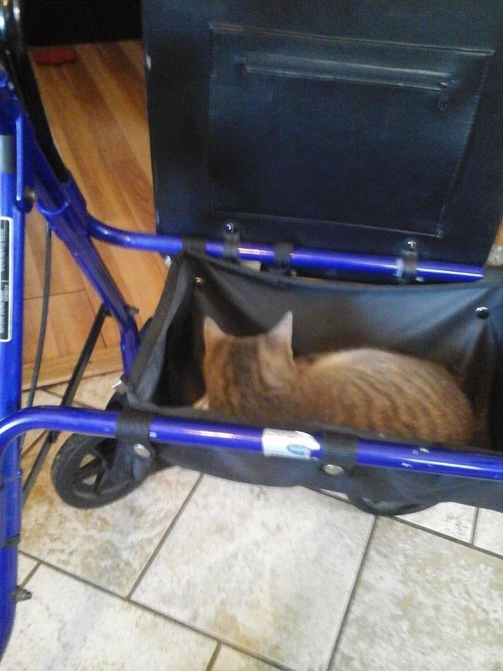 Matthew likes my walker