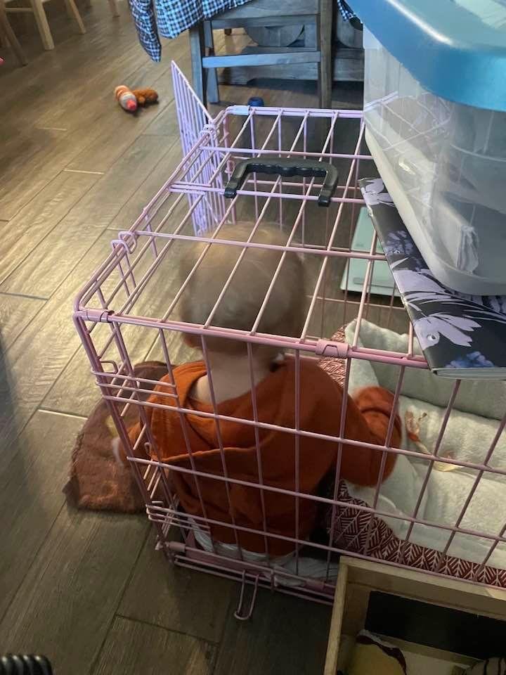 Anakin crawled in Antorio’s cage.