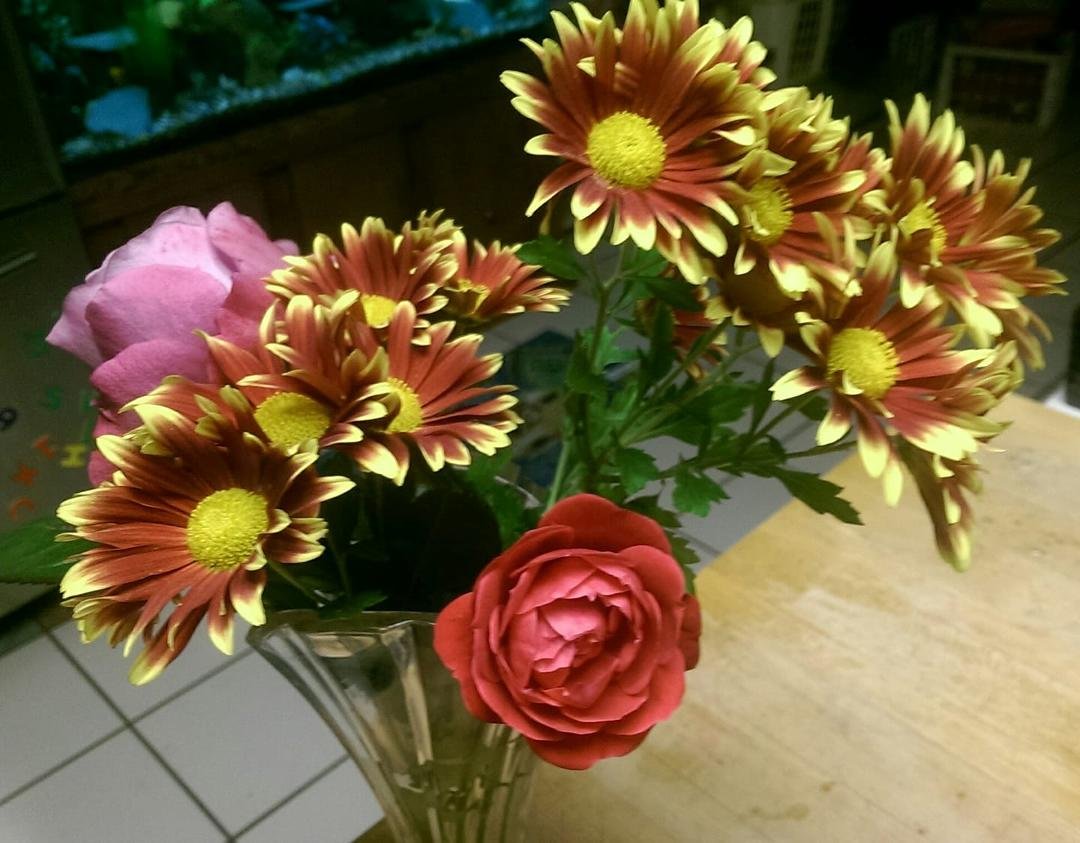 Flowers from my yard today. My favorite rose is the Plum one, always has such a beautiful hue. Gayla Messarra and I planted it last year... The daisies are real...just look like silk.
With Greta Messarra Woodward.