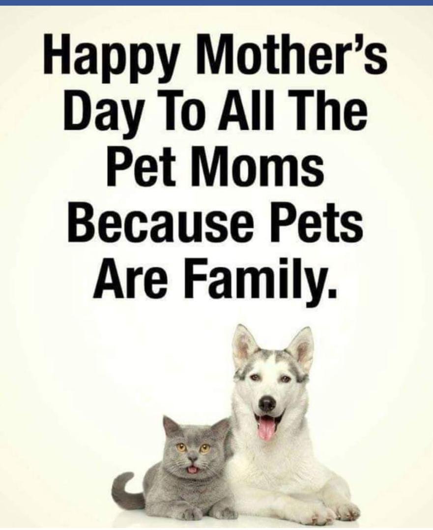 Michele Russo's album, Timeline photos