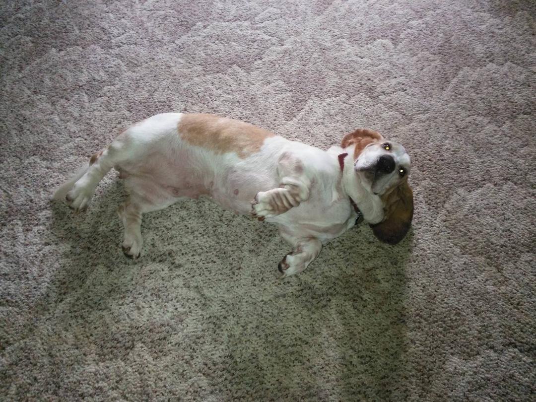 Foster girl Mandy