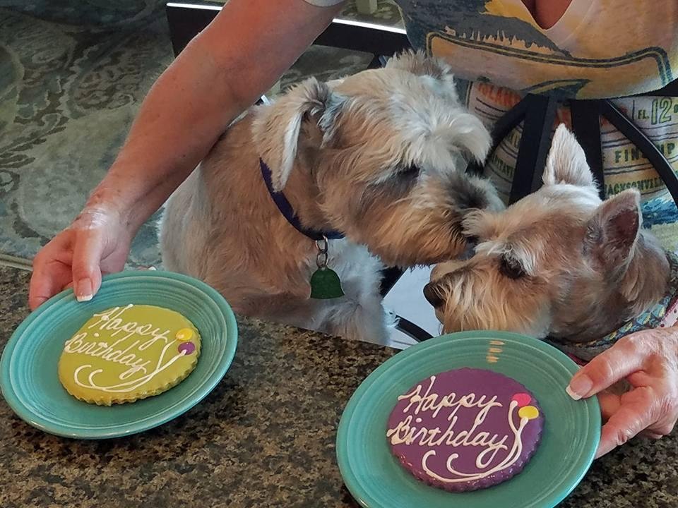 Scottie at his girlfriends birthday party.