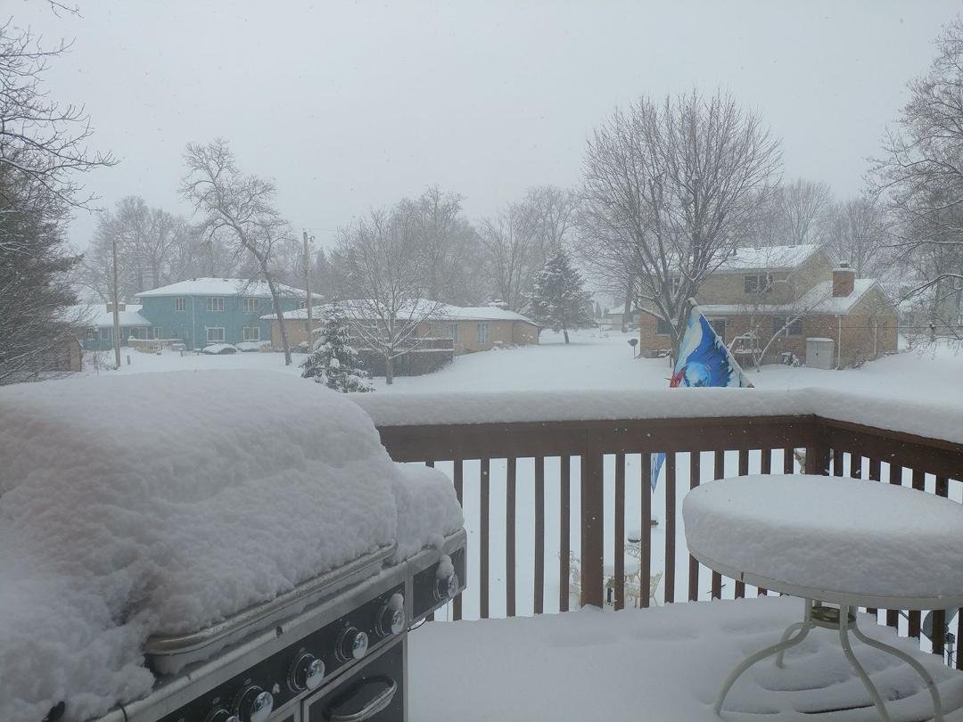 Picture out our living room sliding glass door to the backyard and more coming down!