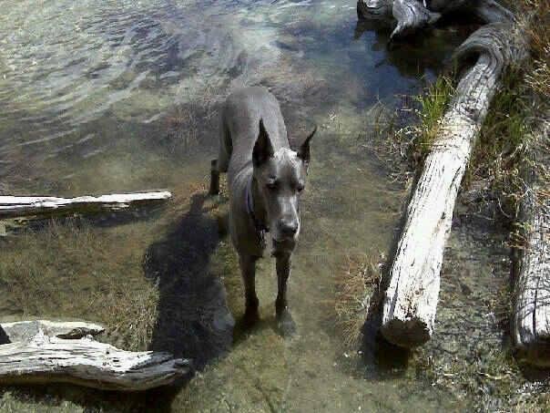 sandy devine's album, Timeline Photos