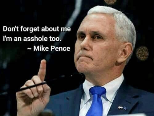 Homophobe and latent homo sexual Pence needs to go!