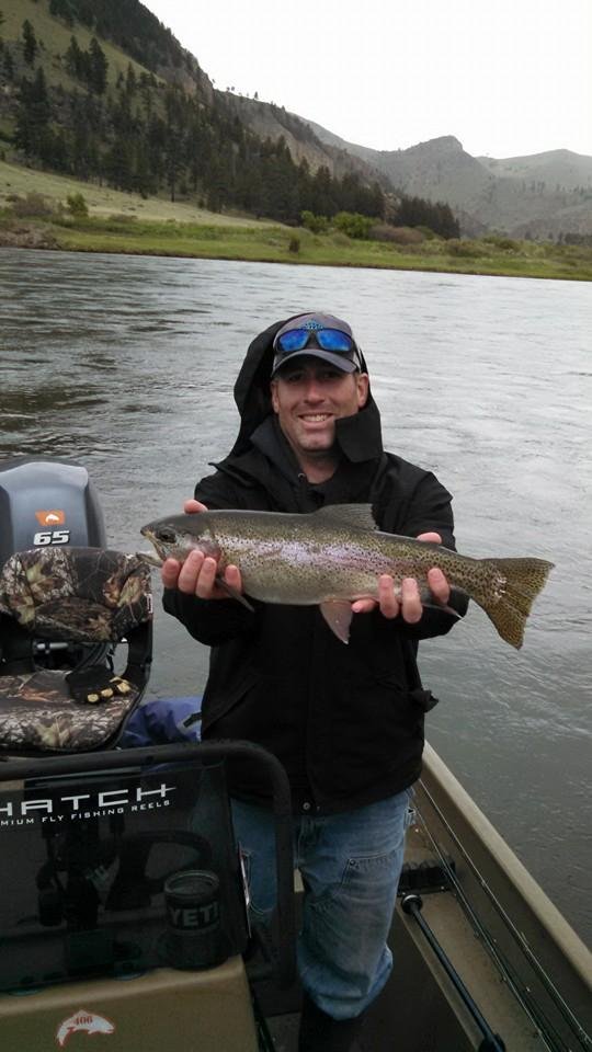 Another nice Montana "bow".