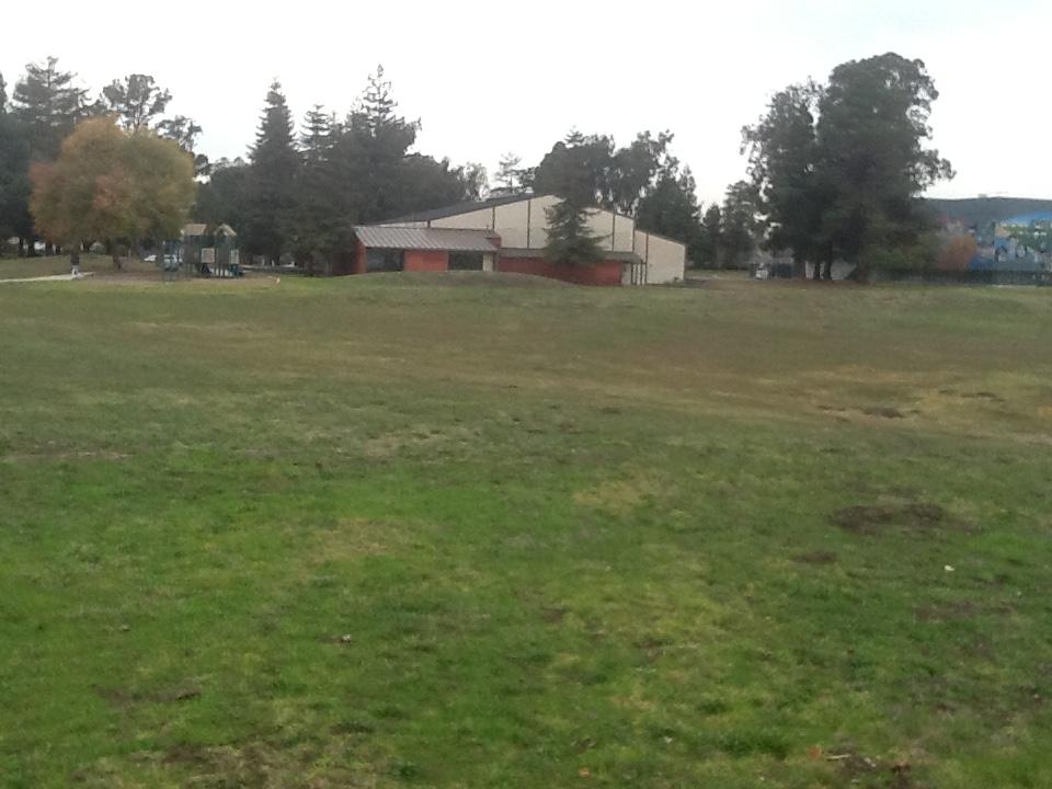 The Rec!