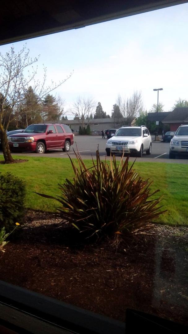 the cops have someone pulled over next to my bank. 😱
and Pat posted this, NOT Don...