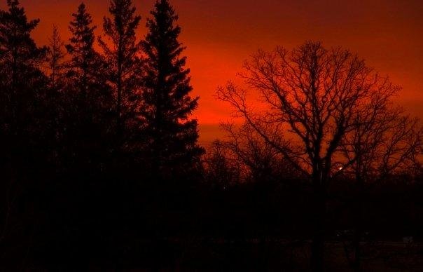 Ron Wirch's album, Some of my most meaningful pictures