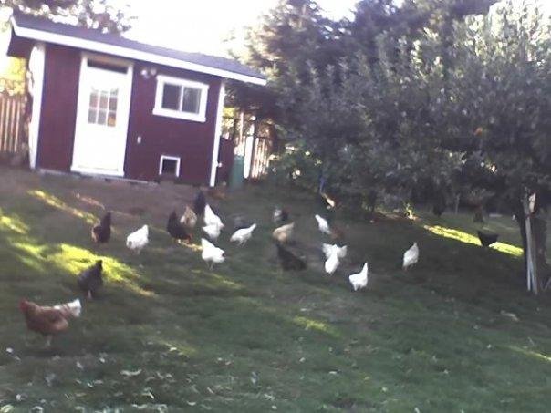 and Lisa were are my crocks and there new house
