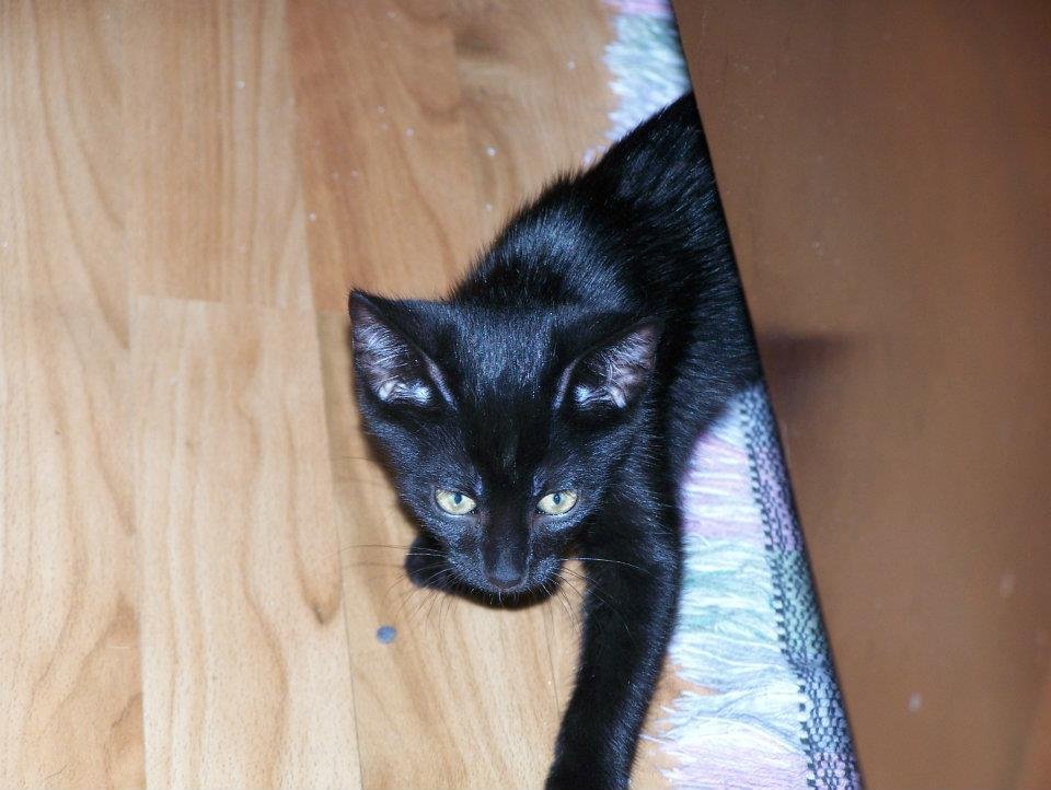 OUR NEW BABY.
BORN 7/22/2012