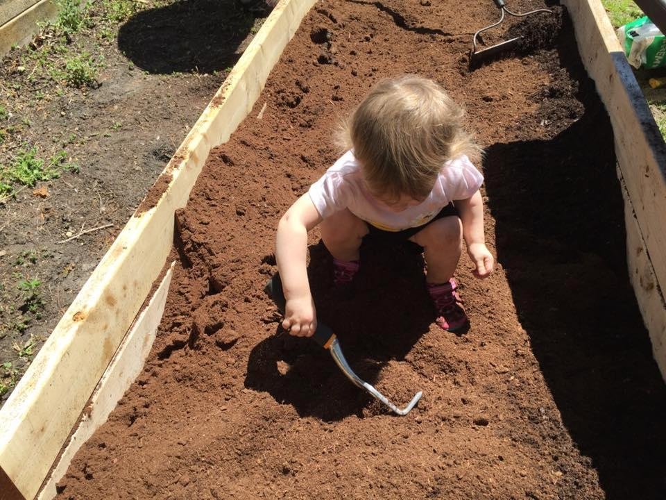 Here is the future queen bee working in the raised beds this past weekend.
