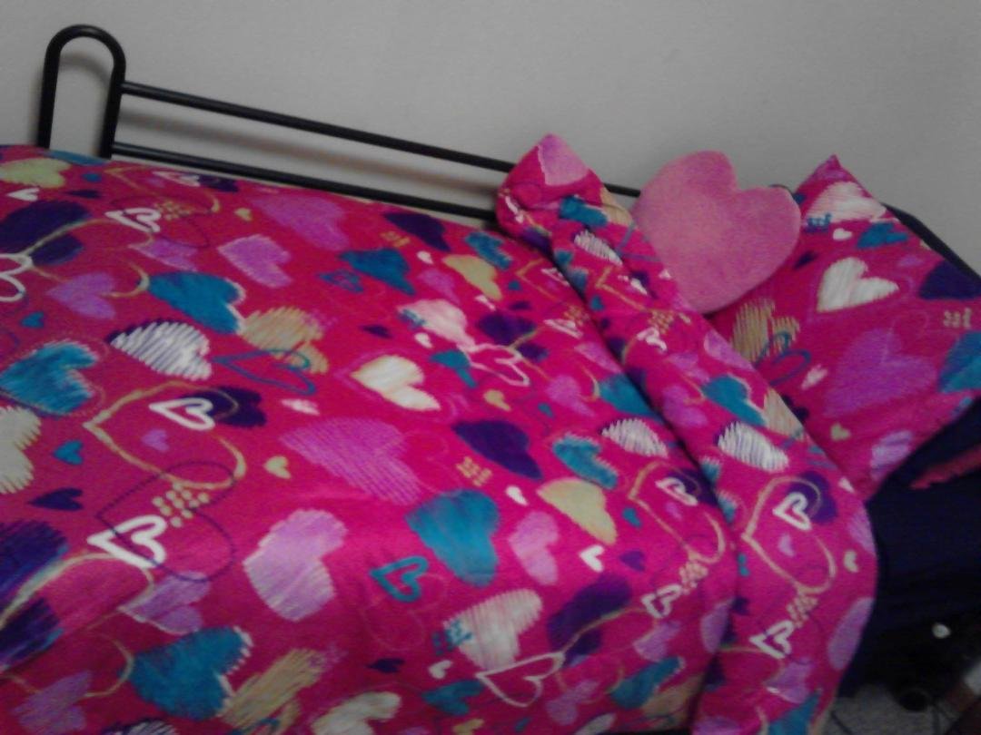 My bed..my new sheets set and Comforter it come with pillow case 2