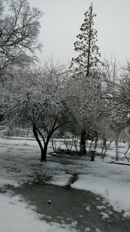 This our back yard 2/10/19