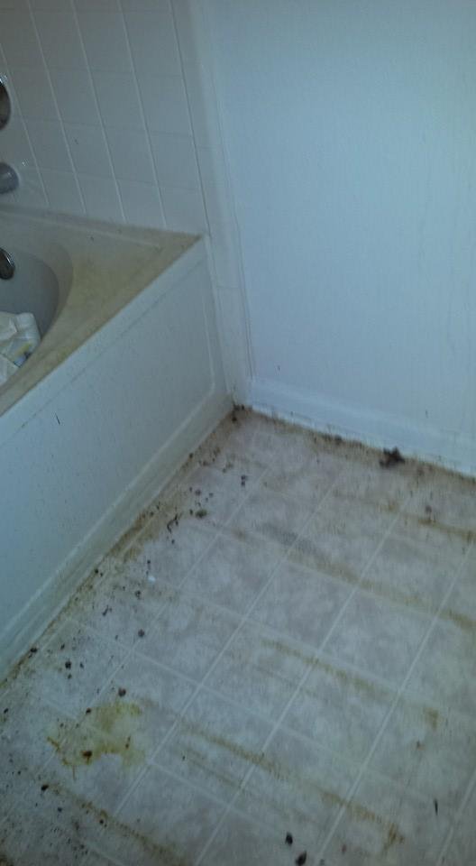Eeeeeeeeekkkkkkk close up of messy floor