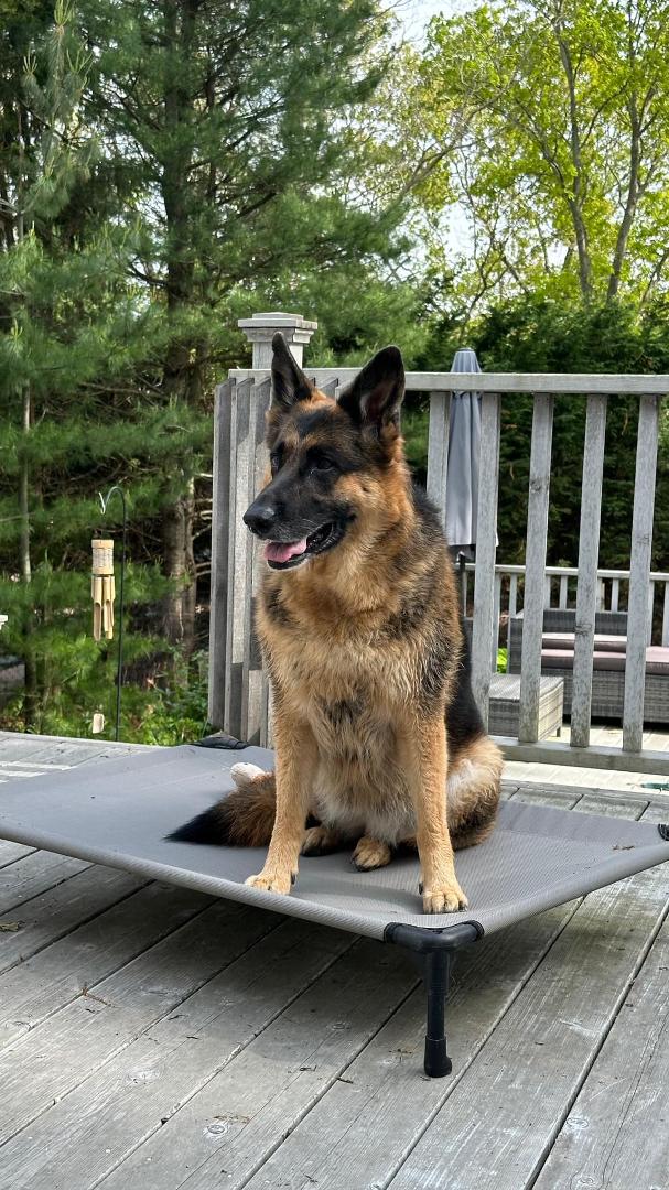 Beautiful Bonnie