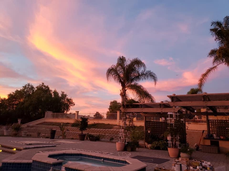 Sharon Robison's album, Mobile Uploads