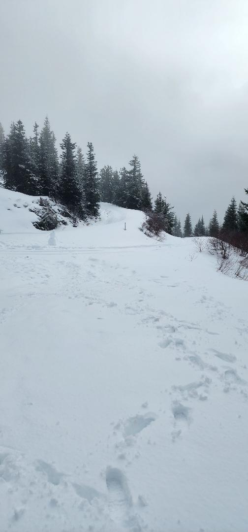 Turn off to the telemetry site on Wolf Mt.