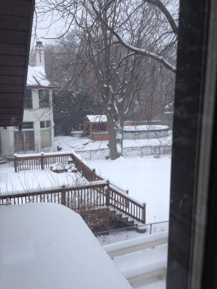 Snowing since last night in Chicago a at my son's house