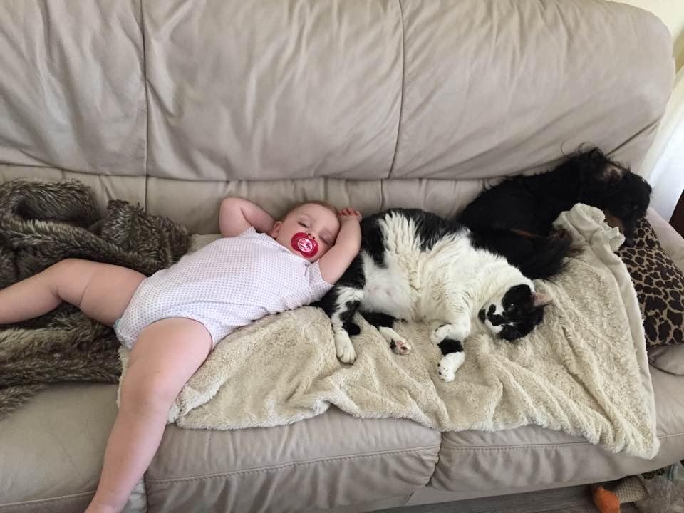 😴 Nap time.