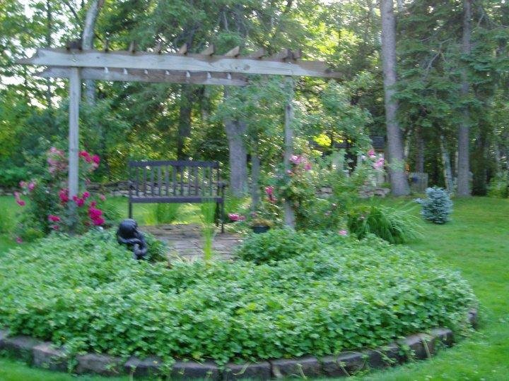 Rosemary Capocci's album, Gardens 2009