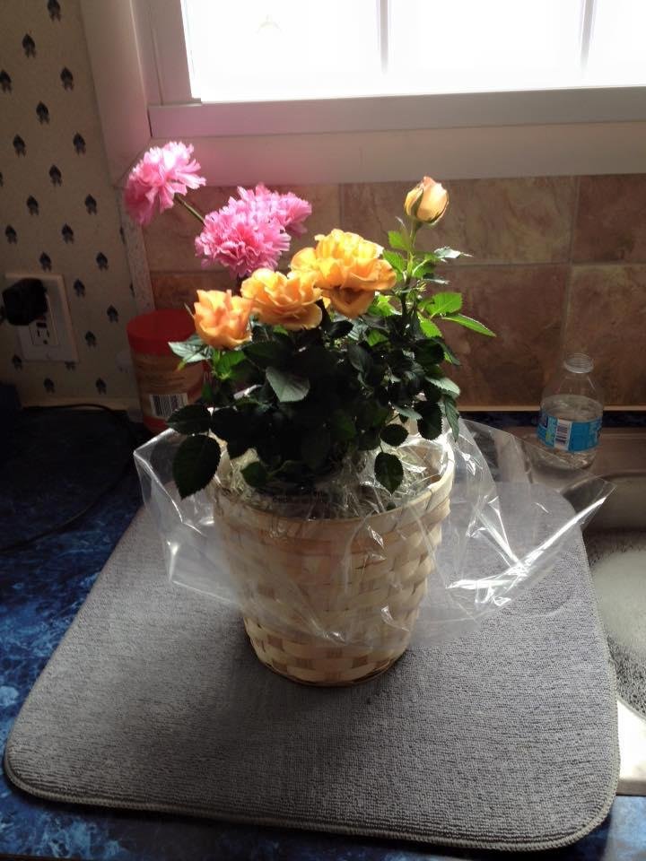 I got to plant this