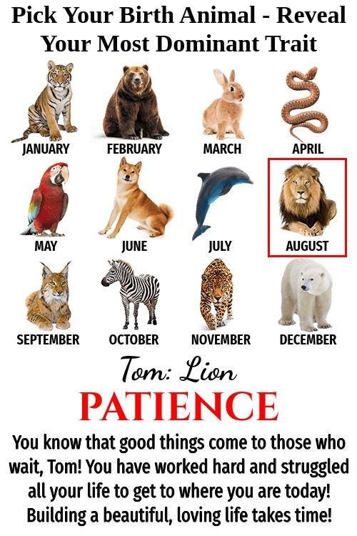 Tom Lake's album, Timeline Photos