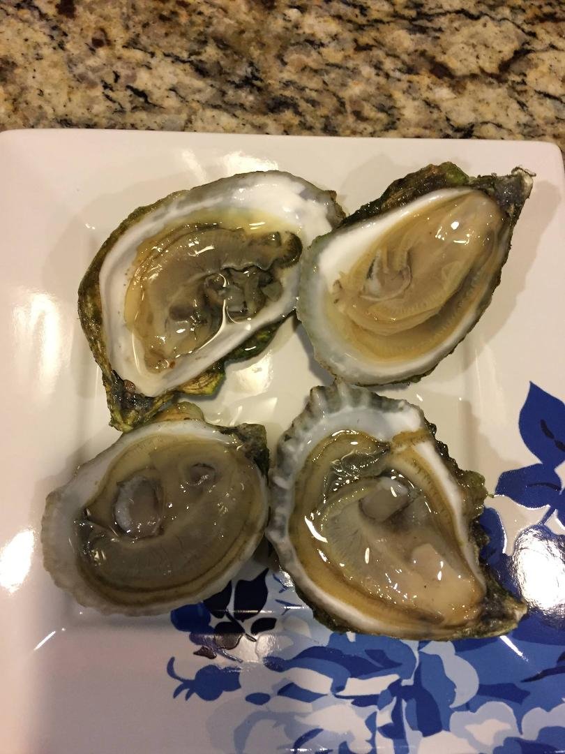 Where there's a will there's a way! Can opener & corkscrew & opened my 1st oysters!