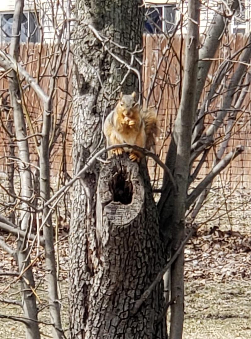 Cute little visitor.